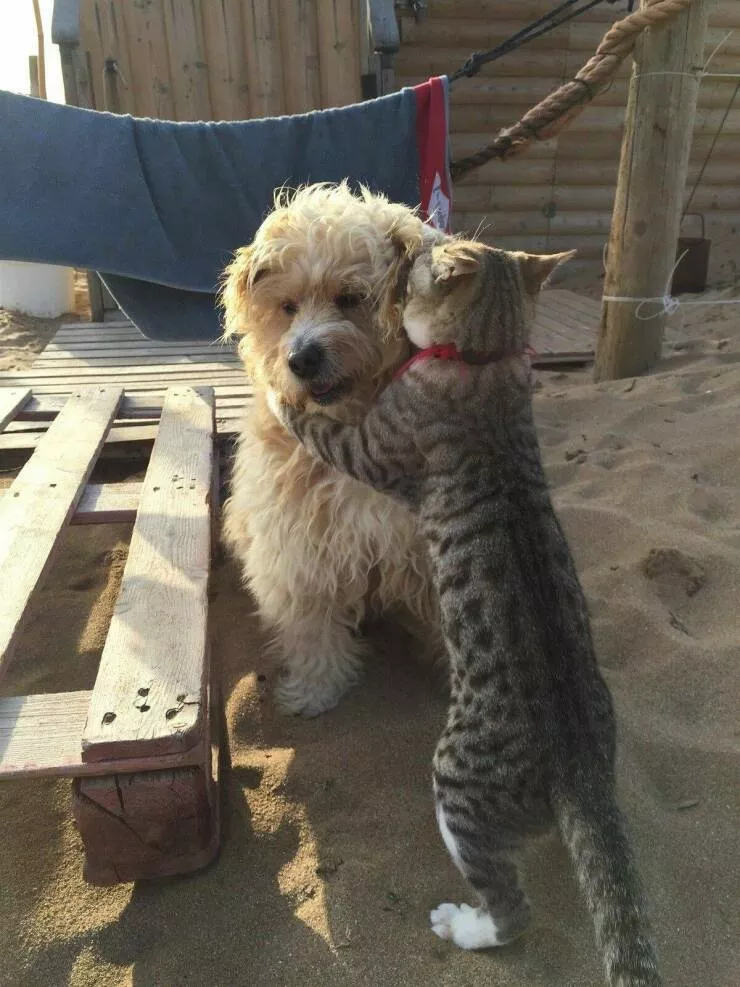 Picdump 721 - #18 