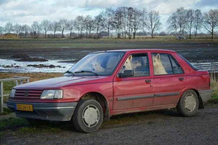Picdump 721 - #27 