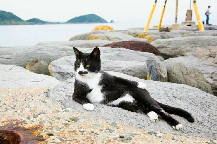 Picdump 721 - #57 