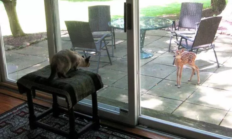 Picdump 721 - #9 