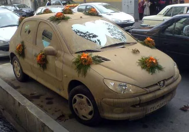 Funny car humor photos - #3 