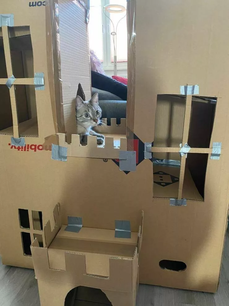 Picdump 722 - #18 