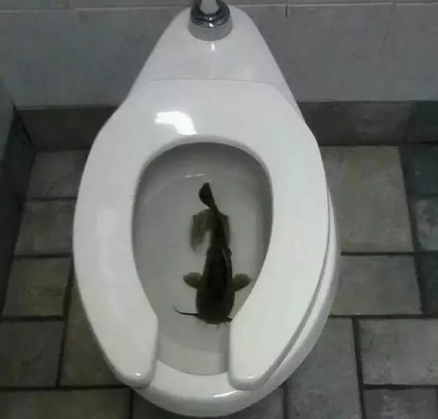 Picdump 722 - #31 