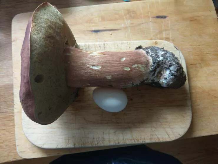 Picdump 722