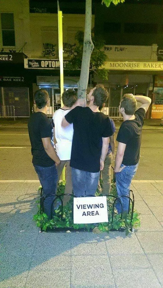 Picdump 722 - #9 