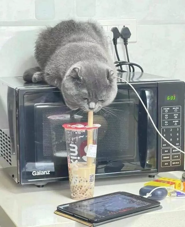 Picdump 723 - #47 