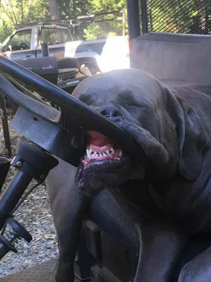 Picdump 723 - #7 