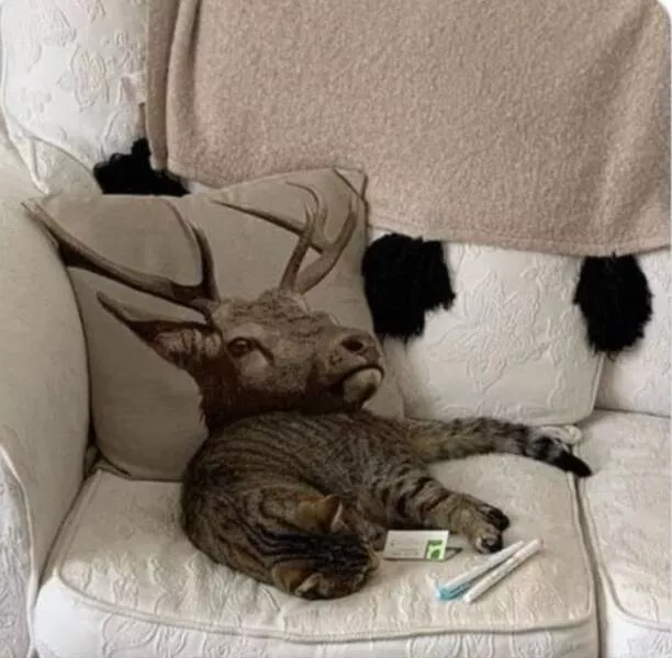 Picdump 724 - #37 