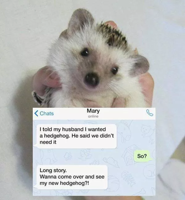 Messages from the bride and groom - #19 