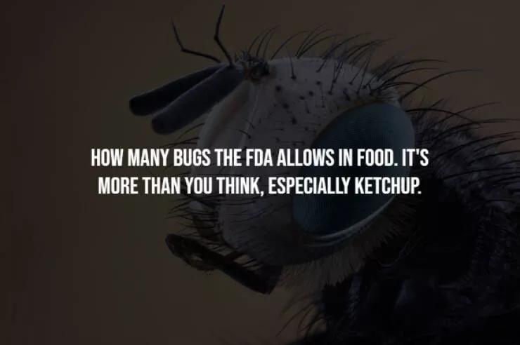 Scary facts - #18 