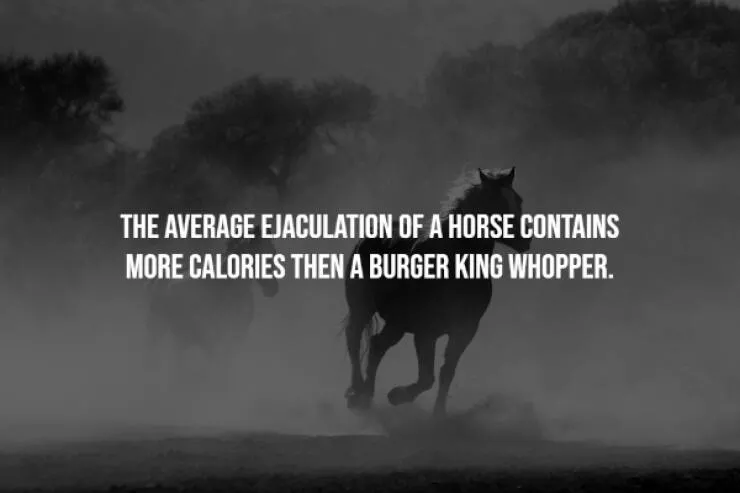 Scary facts - #20 