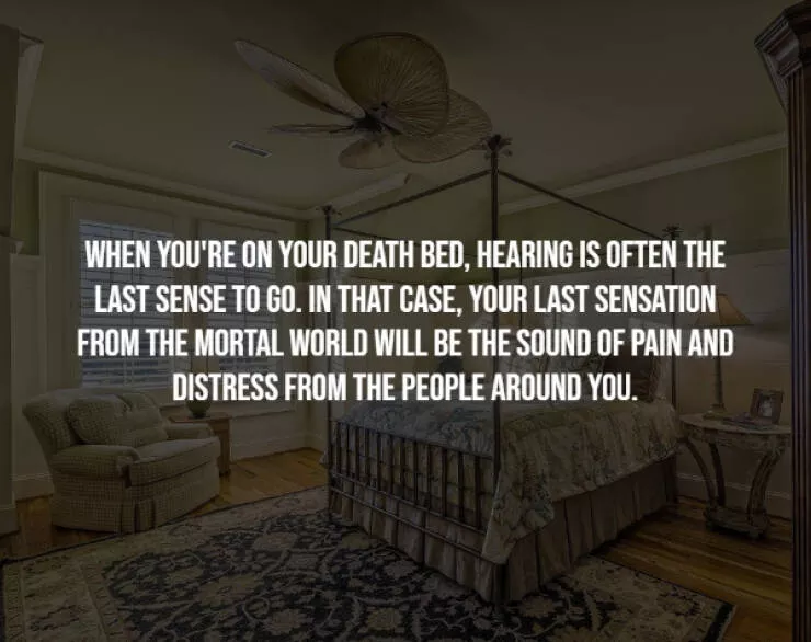 Scary facts - #23 
