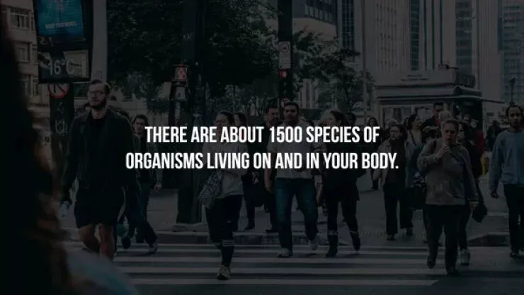 Scary facts - #5 