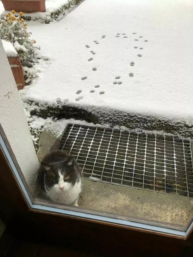 Picdump 725 - #37 