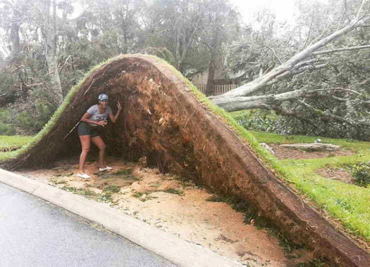 When nature is unleashed - #14 