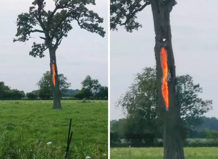 When nature is unleashed - #3 