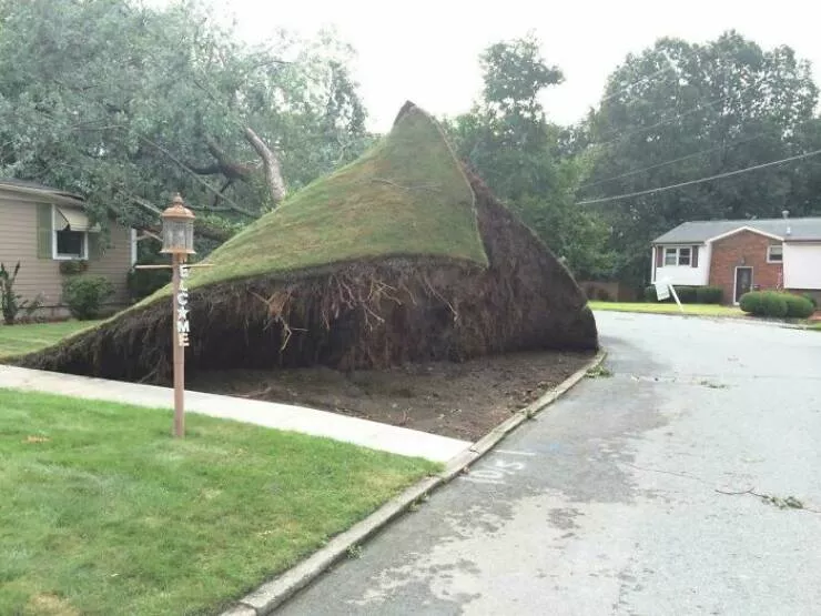 When nature is unleashed - #32 