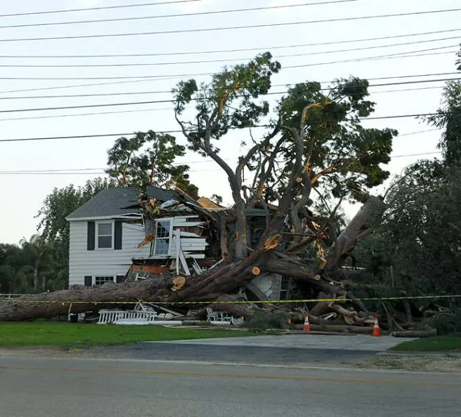When nature is unleashed - #35 