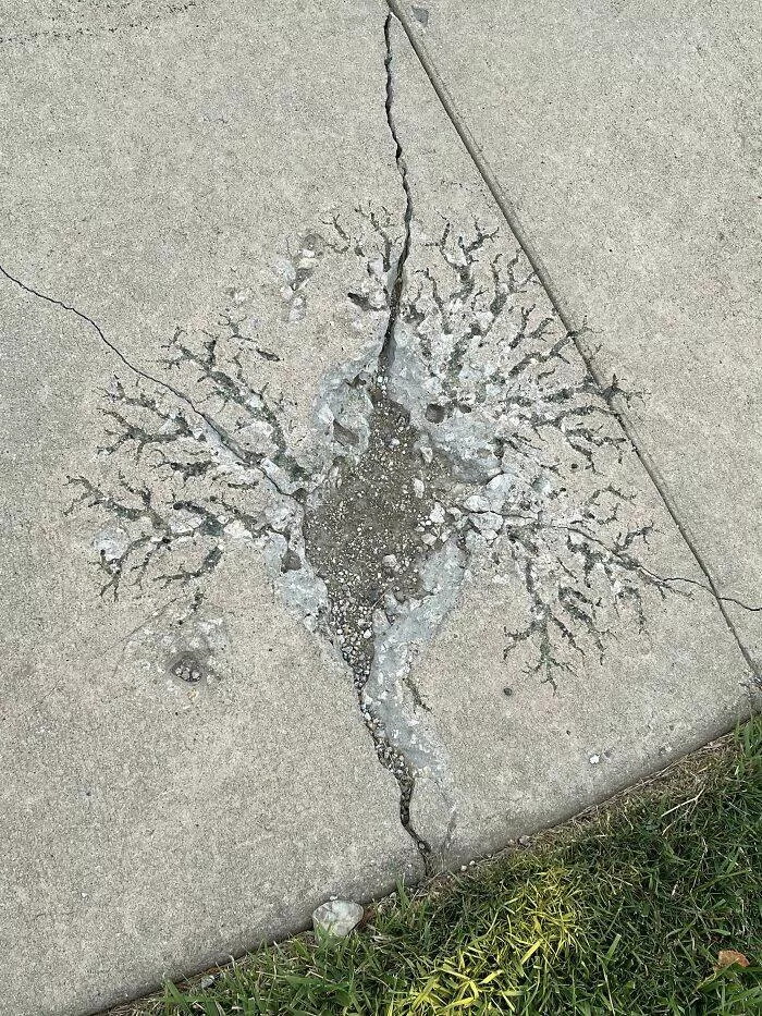 When nature is unleashed - #4 