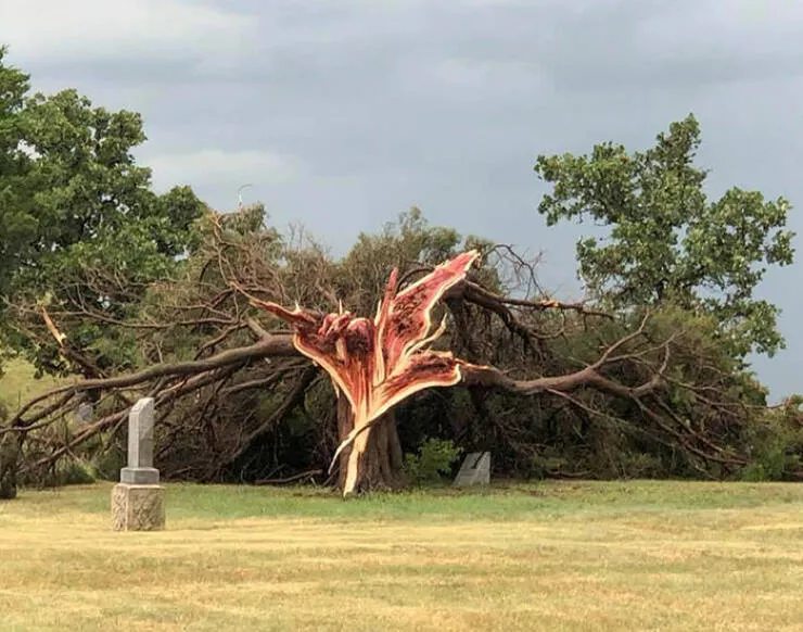 When nature is unleashed