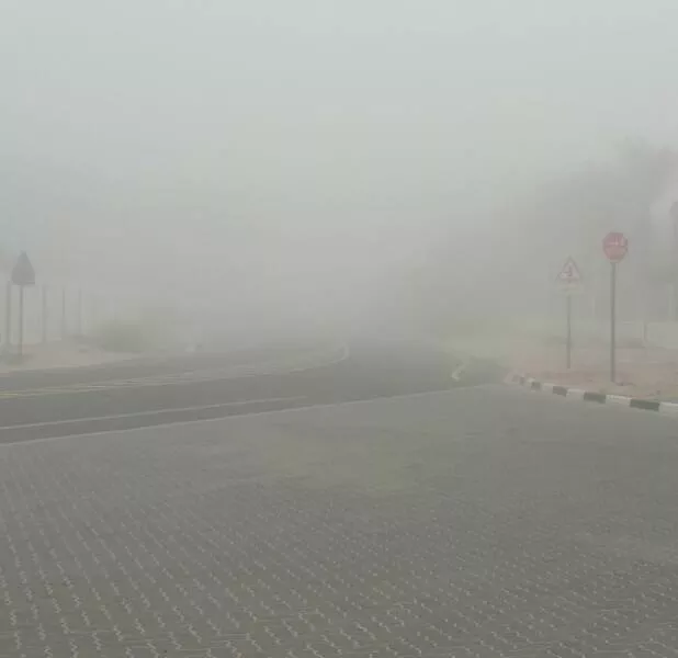 When nature is unleashed - #7 