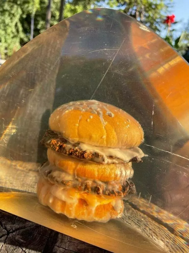Things you never thought - #31 Preserved in resin since the 70s