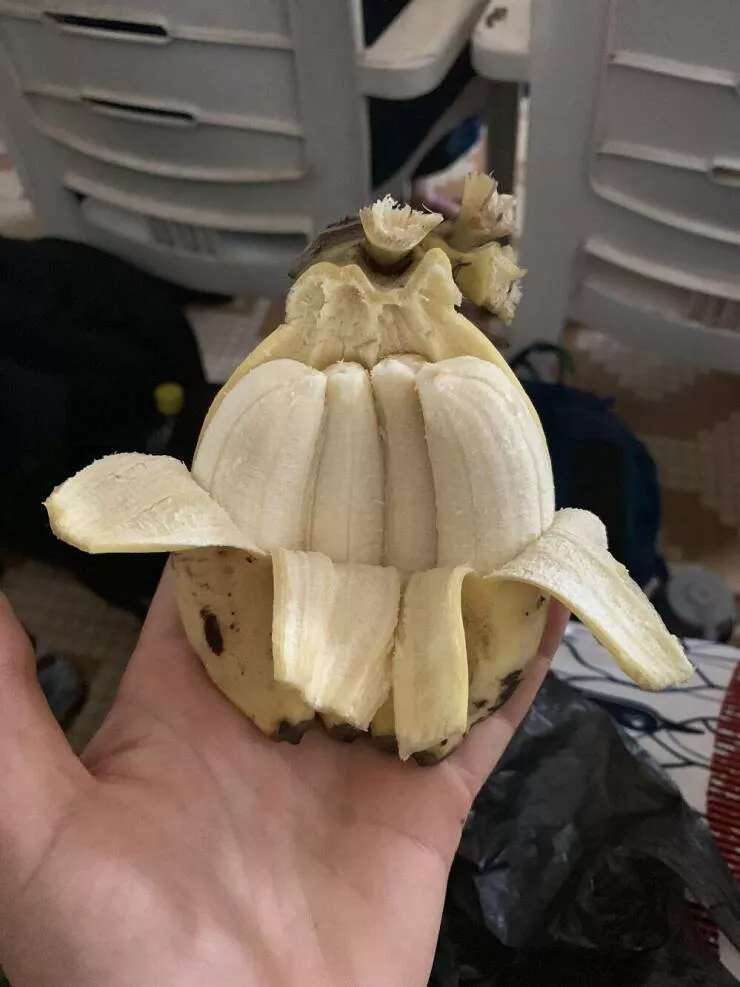 Des choses auxquelles tu nas jamais pense - #34 Quadruple mini banane