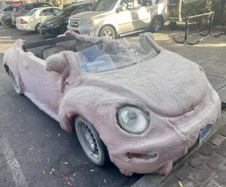 Picdump 728 - #1 