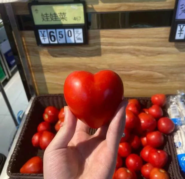 Picdump 728