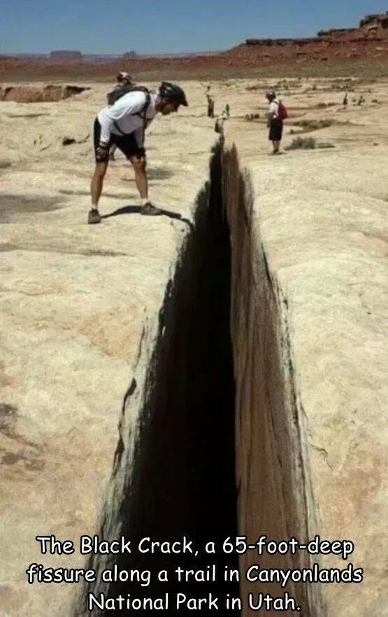Picdump 728 - #44 