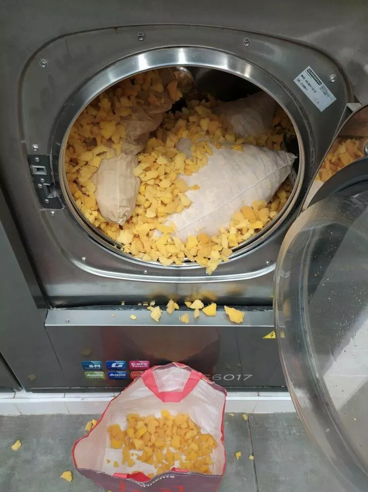 Picdump 729 - #17 