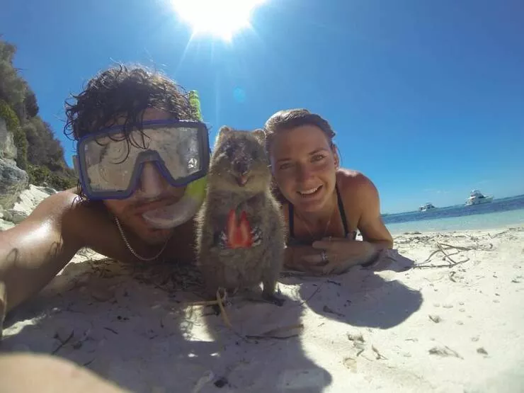 Picdump 729 - #31 