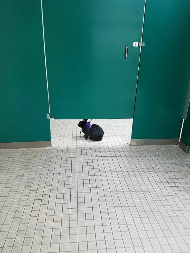 Picdump 729 - #43 