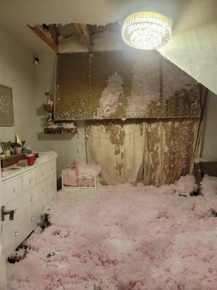 Picdump 729 - #52 