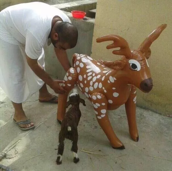 Picdump 729 - #55 
