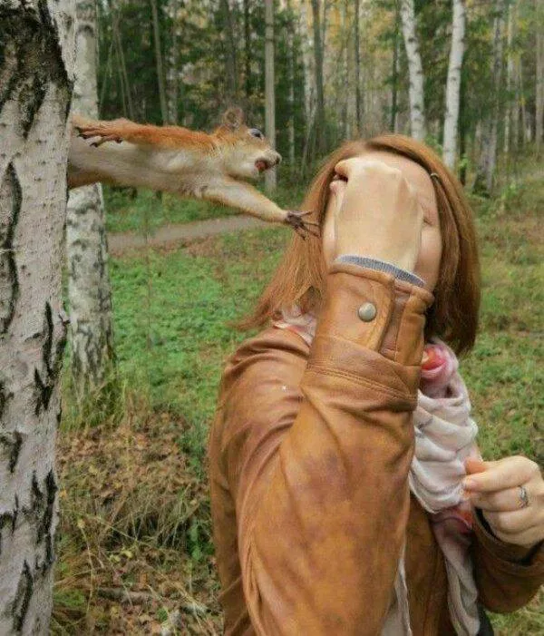 Picdump 729 - #67 