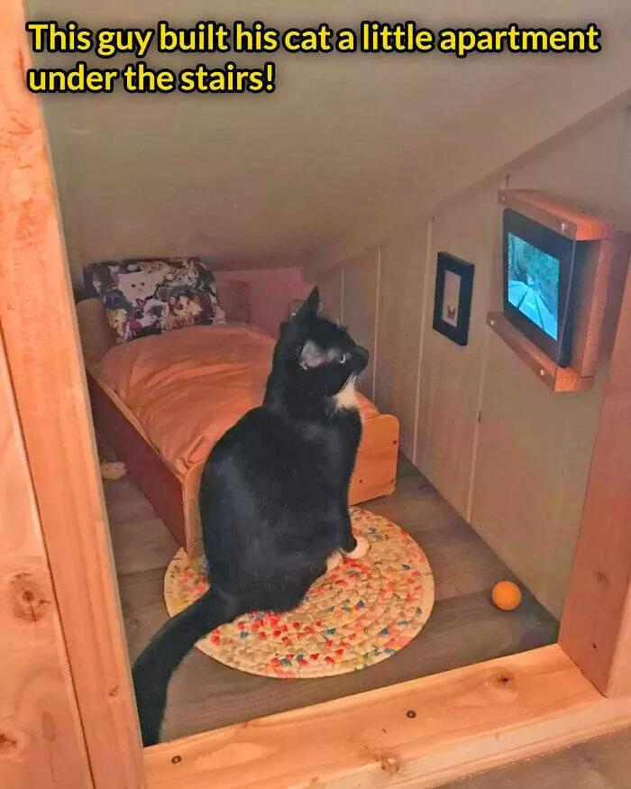 Objects that we want to have at all costs - #13 