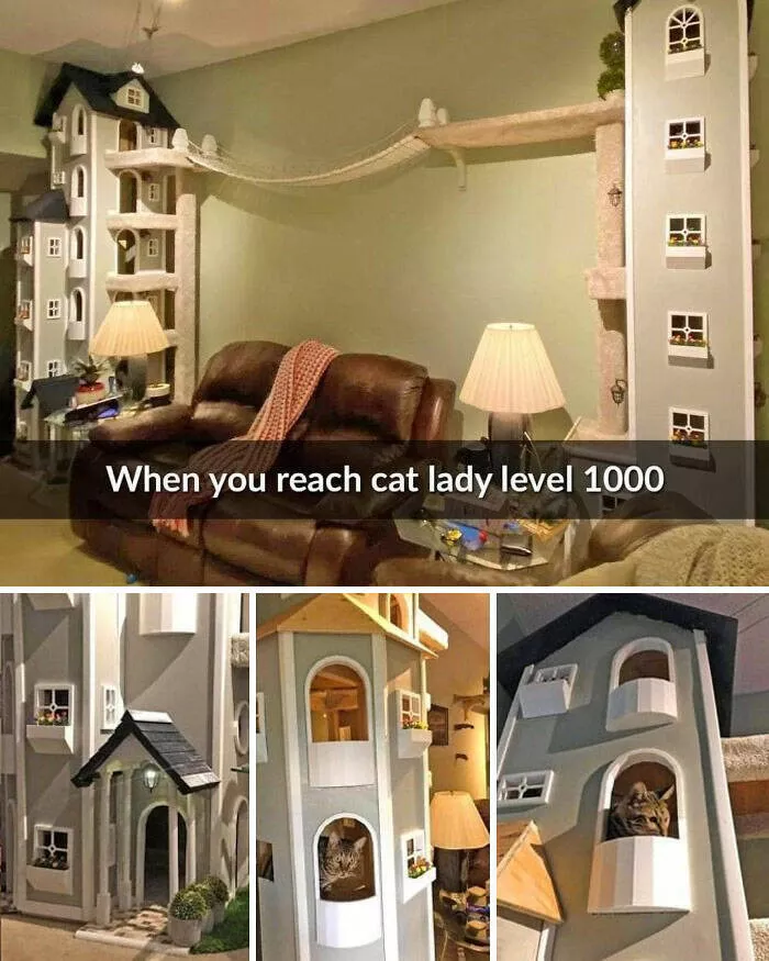 Objects that we want to have at all costs - #17 