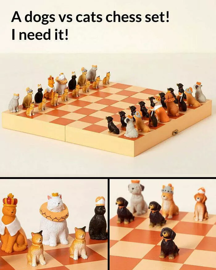 Objects that we want to have at all costs - #2 