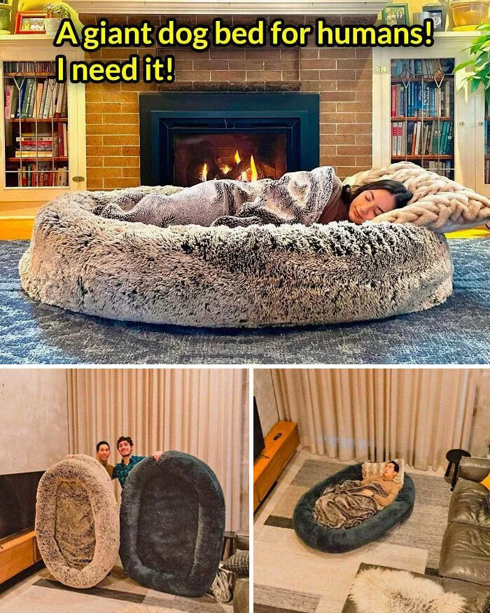 Objects that we want to have at all costs - #5 