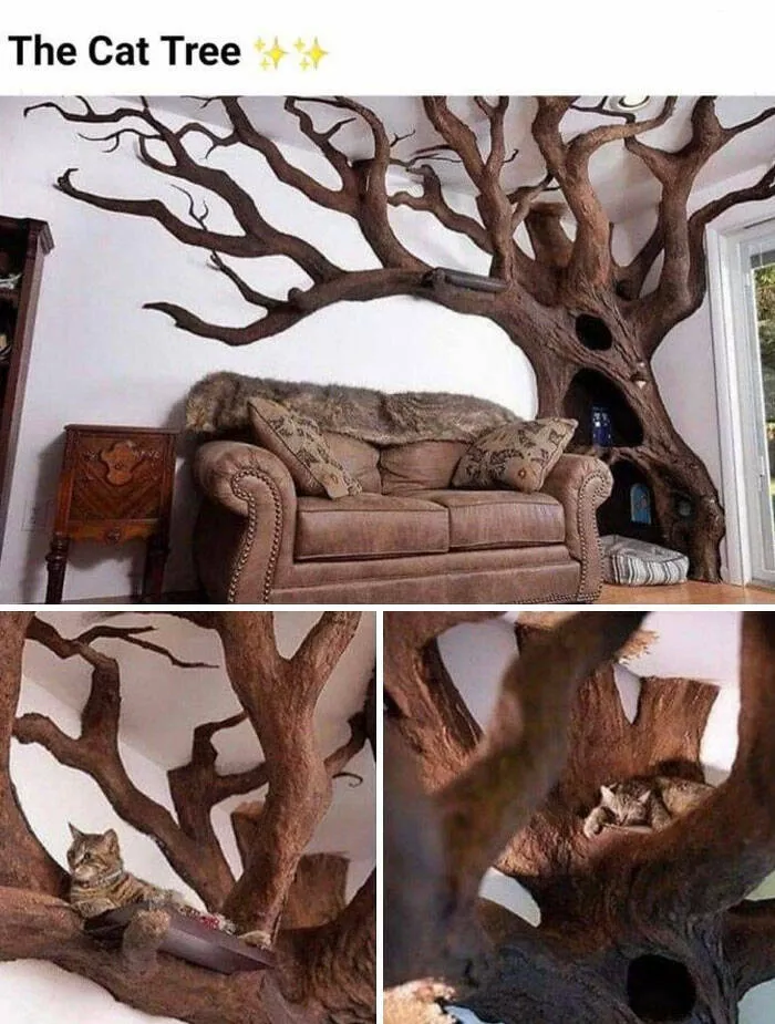 Objects that we want to have at all costs - #8 