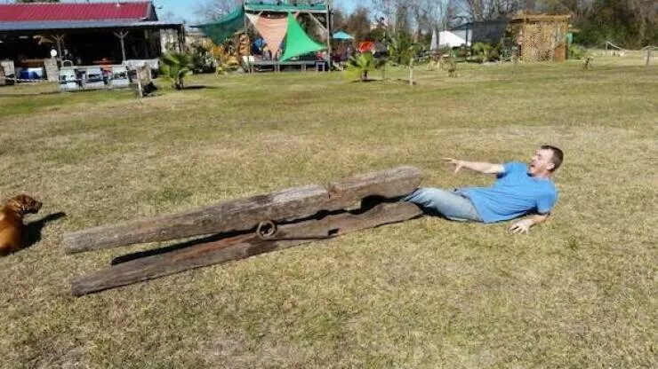 We feel dwarfs near these objects - #23 