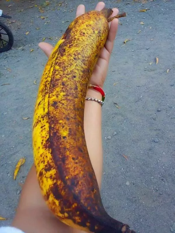We feel dwarfs near these objects - #24 