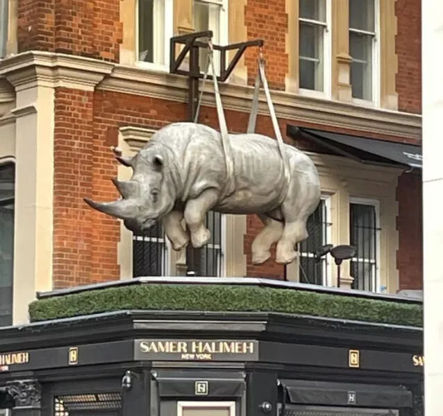 We feel dwarfs near these objects - #34 