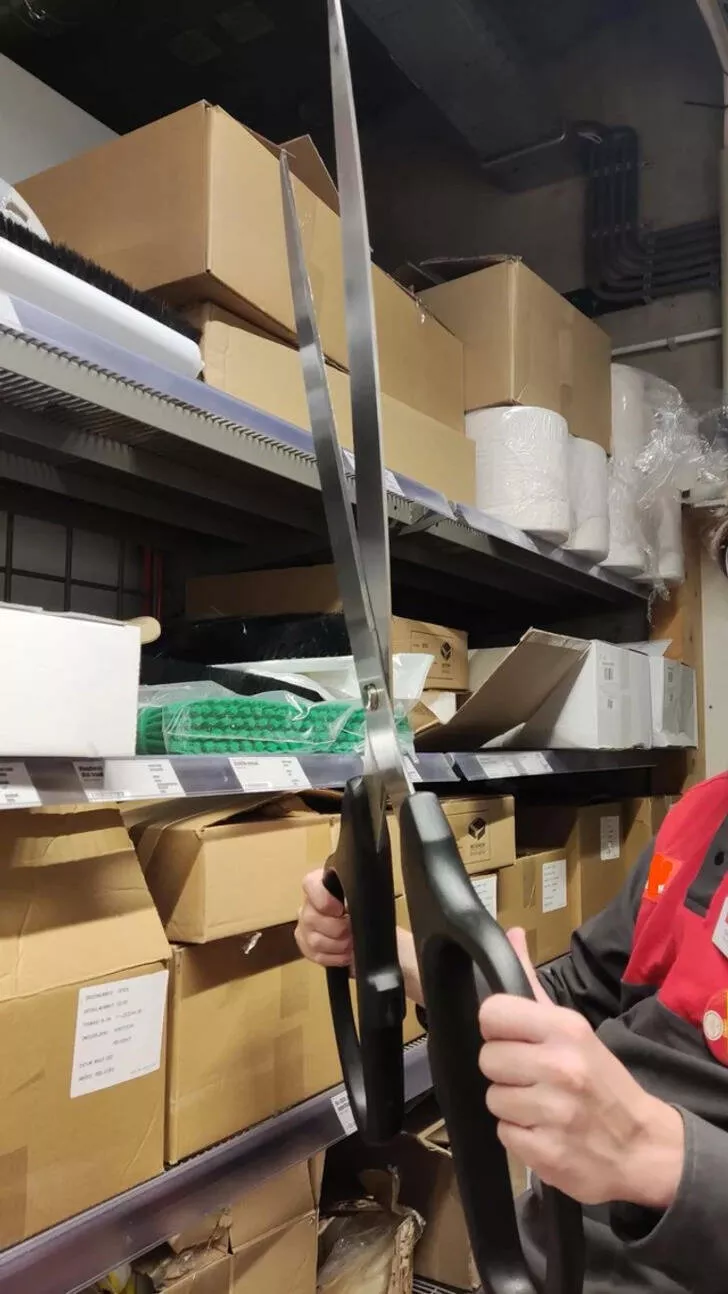 We feel dwarfs near these objects - #37 