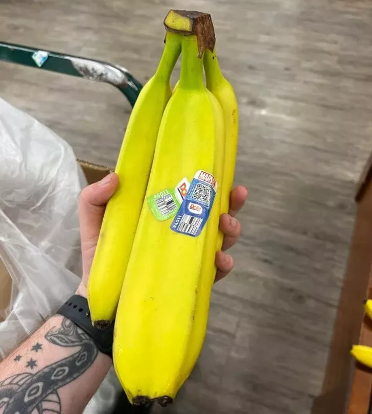 We feel dwarfs near these objects - #45 