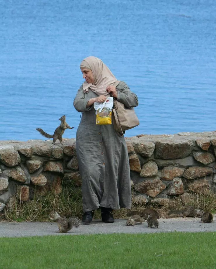 Picdump 730
