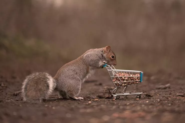 Picdump 730 - #48 