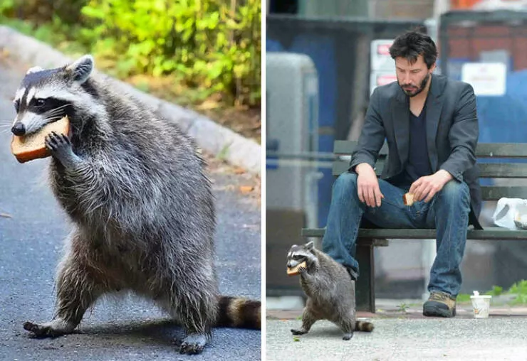 Les montages photo les plus droles du monde - #1 
