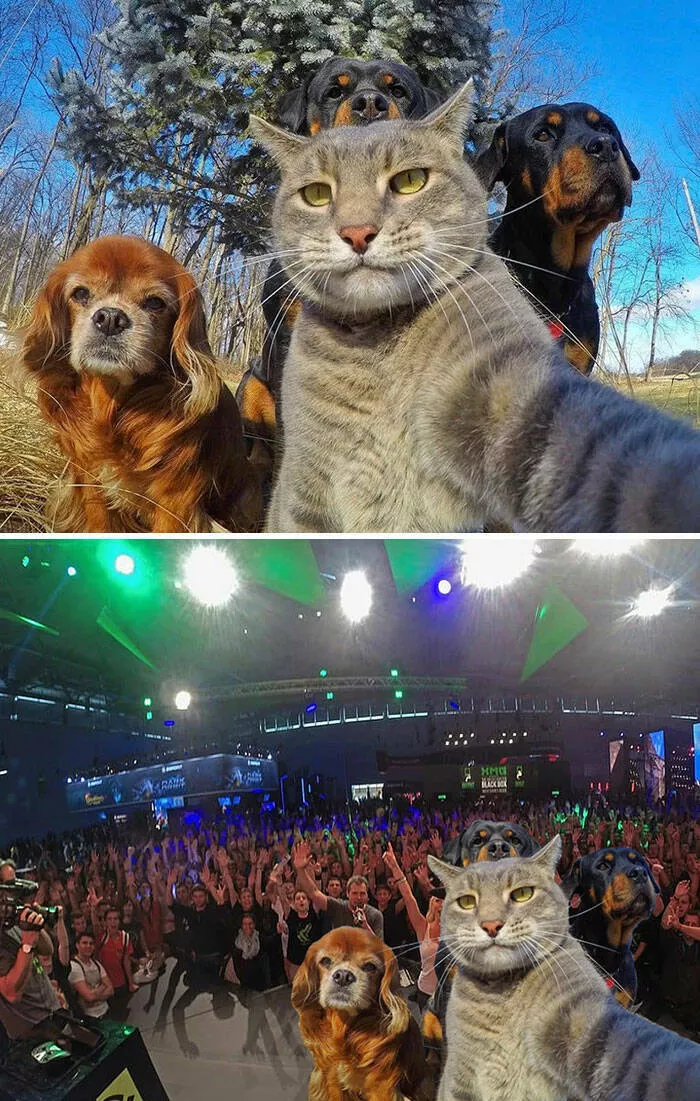 The funniest photo edits in the world - #17 